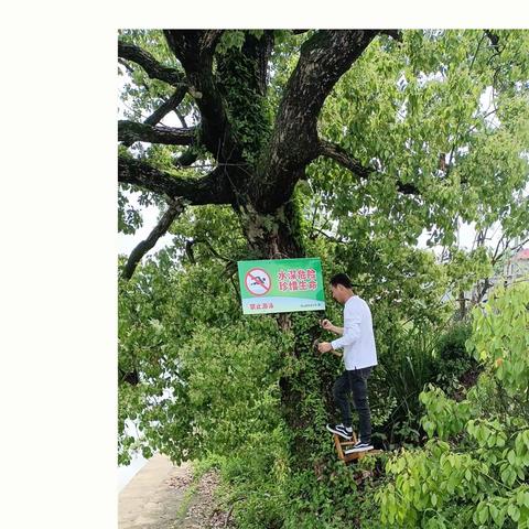 【涌山镇流槎小学】珍爱生命 预防溺水——涌山镇流槎小学预防溺水安全教育活动纪实