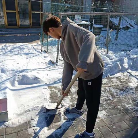 清雪除冰我先行，劳动强体树美德——记大沙河中学除雪活动