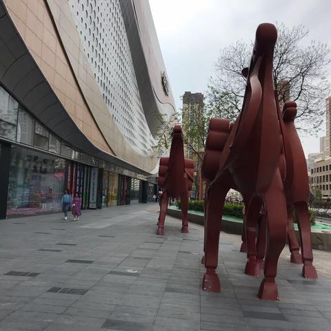 甘南叶檀财经之旅