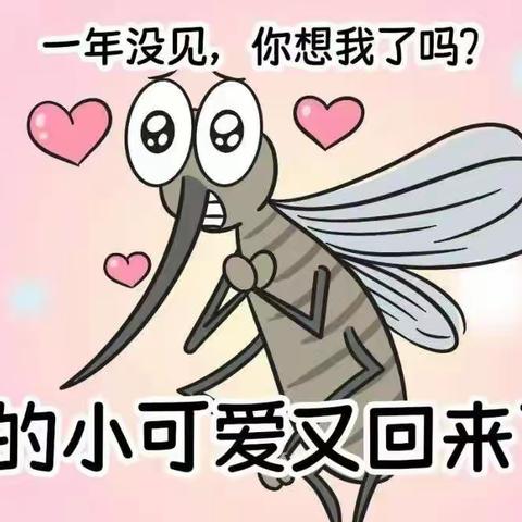 蚊子为啥总叮你？驱蚊妙招学起来！