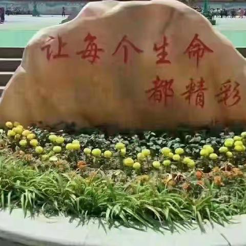 【铜冶镇北铜冶小学】同课优构展风采，扎实教研促成长 －－北铜冶小学数学教研活动