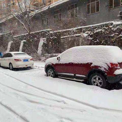 进社区清雪除冰，助百姓安全出行