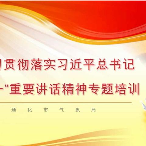 通化市气象局学习贯彻落实习近平总书记“七一”重要讲话精神专题培训情况