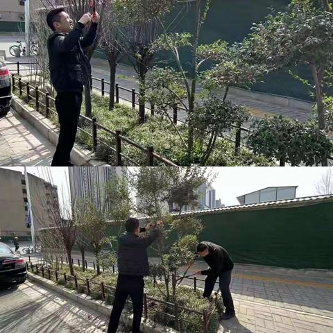 2022年3月4日，大兴城管局工作纪实。