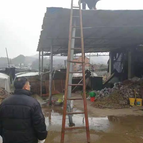 新宅镇强势推进“大棚房”问题整治工作