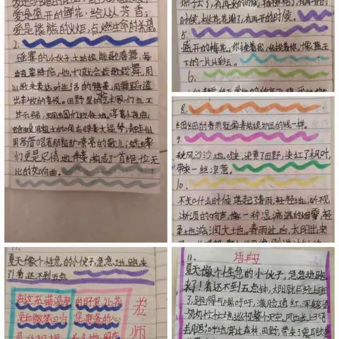 写好字，读好书——四（3）班学生的读书情况