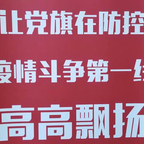 党旗飘扬在一线规划建设局支部在行动