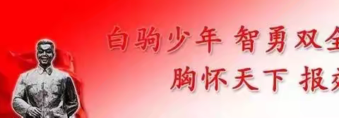 “夯实理论，培育花朵”——海南白驹学校教师培训纪实