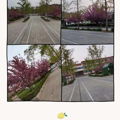 居家学习阶段小结——让我们看到你努力学习的样子