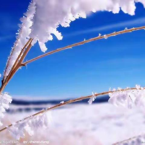 今天早上入园，发现幼儿园地面上，滑梯上，树枝上等，出现一层白白的东西，幼儿的好奇心产生欲望。