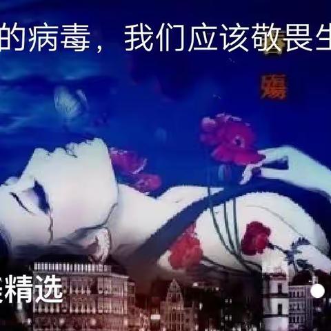 心若相依的美篇