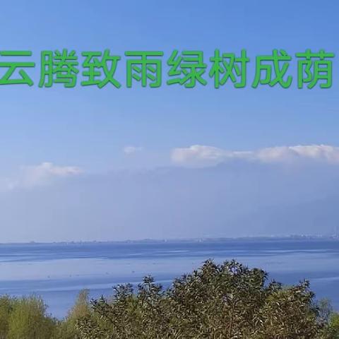 南疆异域风情之约    高原明珠海埂大坝苍山洱海昆明湖