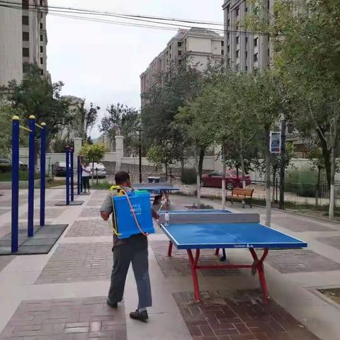 疫情防控常态化 全力以赴抓落实 ——张家口市七里山公园管理处抗疫系列（一）