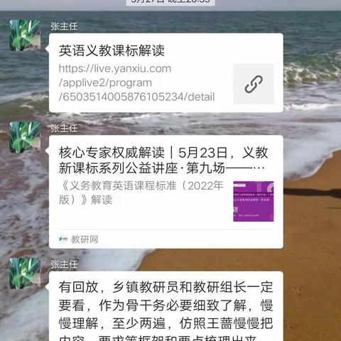 贯彻新理念 研读新课标~道托镇英语老师新课标学习纪实