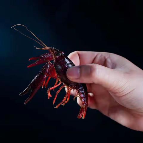 绿色记忆之农场岁月