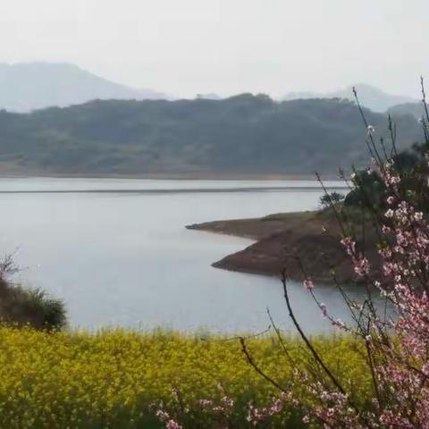 Я не буду