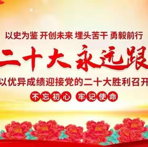 鲁山：第二消防救援站开展“防风险 保安全 迎二十大”主题党日活动