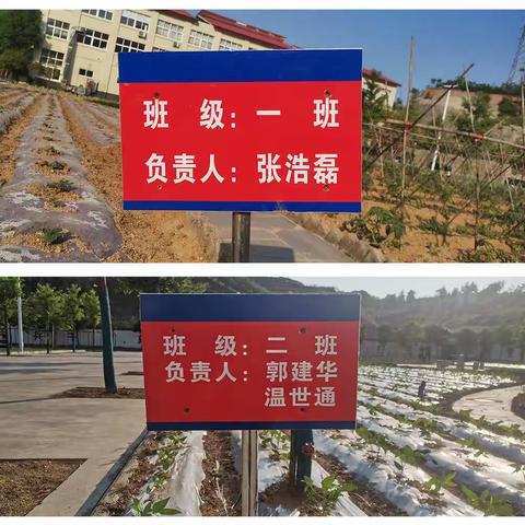 鲁山第二消防站精心打造“开心农场”种植蔬菜