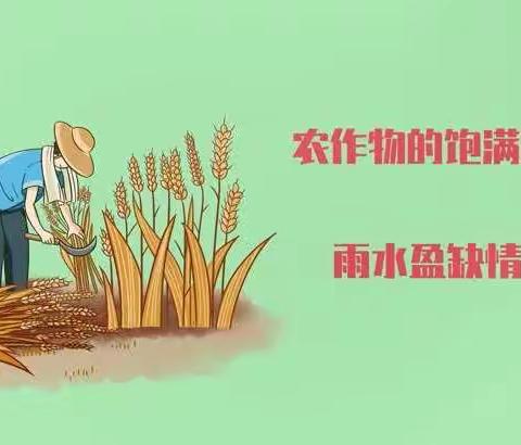 大班组 二十四节气 小满