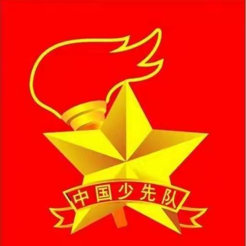 喜迎二十大，争做好队员——咸阳秦都金山学校四年级4班少先队主题活动暨武术操比赛