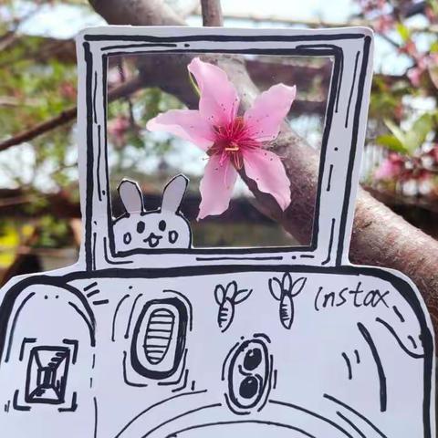 大三班科学季·识草绘木·桃