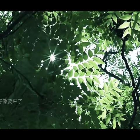 音乐伴你 《晚风》随行——音乐组线上教研