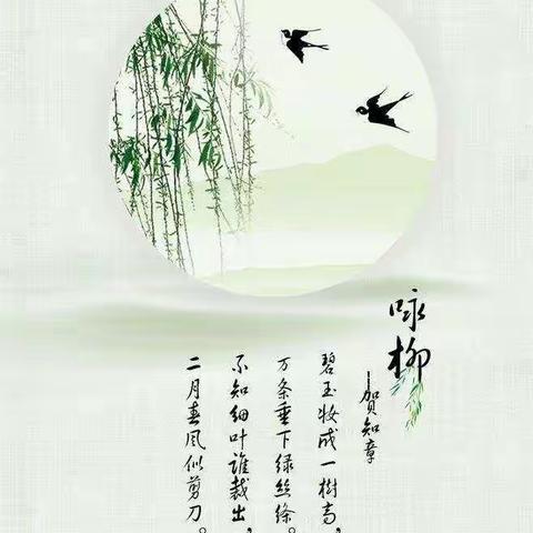 南开三十七幼中二班的美篇