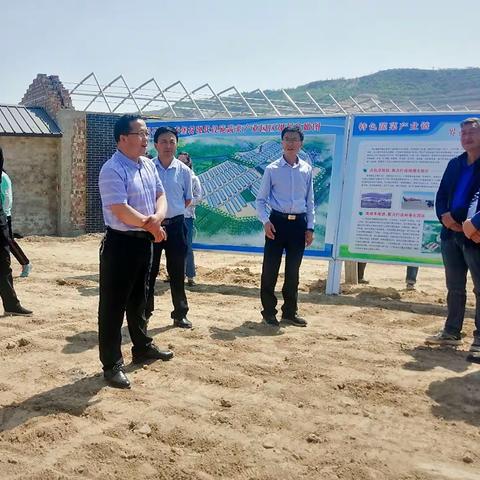 县乡村振兴特色蔬菜产业考察团来界石铺镇参观考察