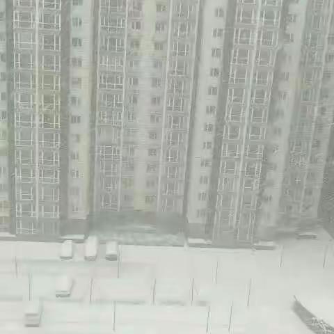 认真的雪，认真的学