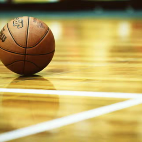 派蒙思教育课程简介