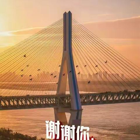 阳春三月 守得云开见月明