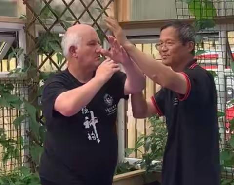 Push Hands With Master Liming Yue