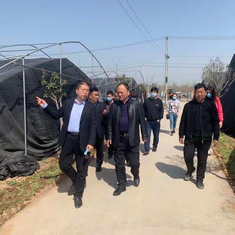 市农业农村局联合市委市政府督查局督查乡村振兴示范带建设工作