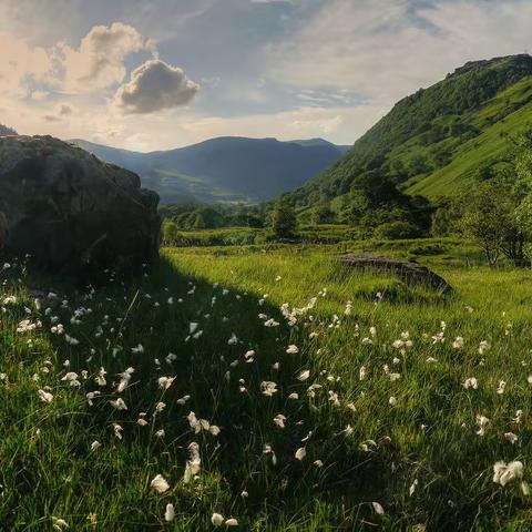 停课不停学，静待春暖花开——杨庄一中在行动