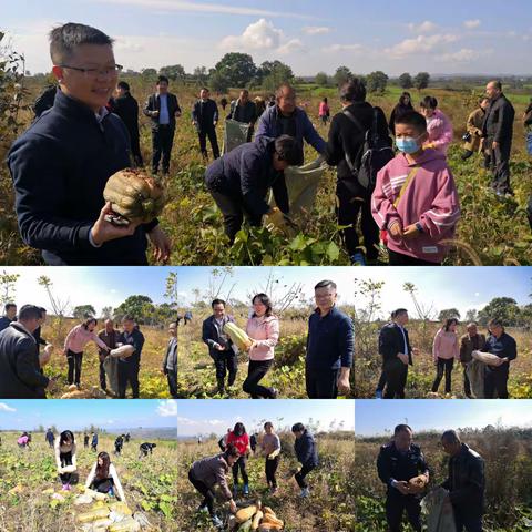 渠子镇：党员干部齐上阵，抢收秋粮暖民心