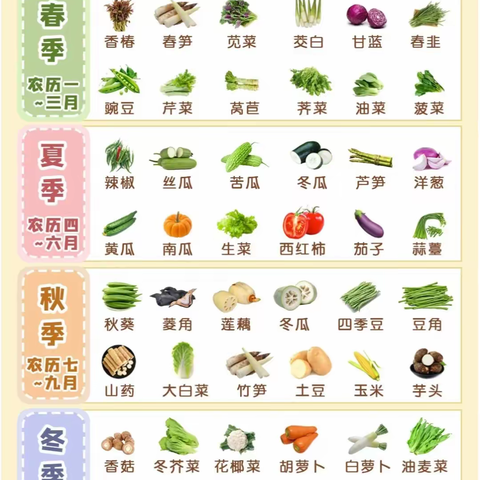 蔬菜种植时间表