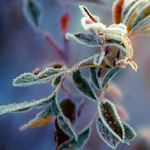 三江园和高美园“精准帮扶”活动