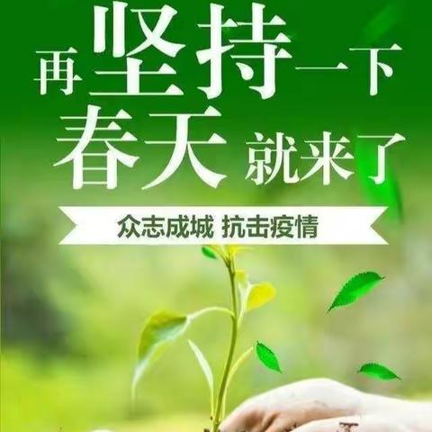 “春光无限,少年有志”安岭实验小学六二班“停课不停学”