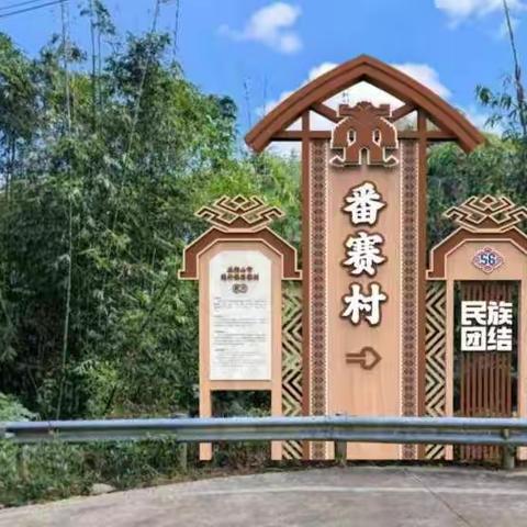 番赛村委会开展迎新春环境卫生综合整治活动