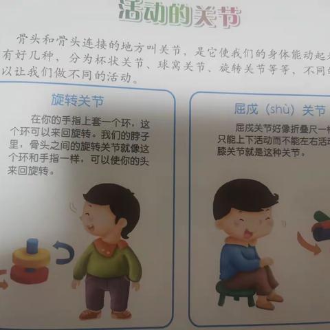 《康贝乐幼儿园》中一班“停课不停学”今日活动