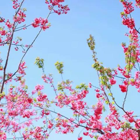 旌阳区东泰幼儿园――本周宅明星（五）