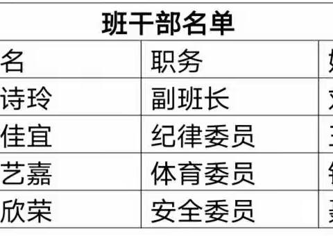 【校园风景美如画】洗马湖学校班级风采展（第八期）