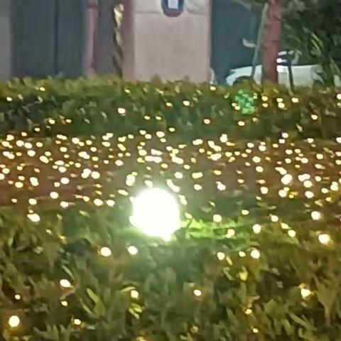 胡芷涵的寒假生活