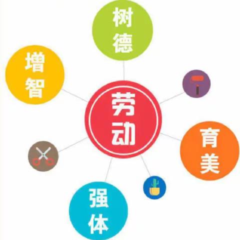 居家战疫情，劳动促成长———塔子城镇中心学校学生居家生活之劳动篇