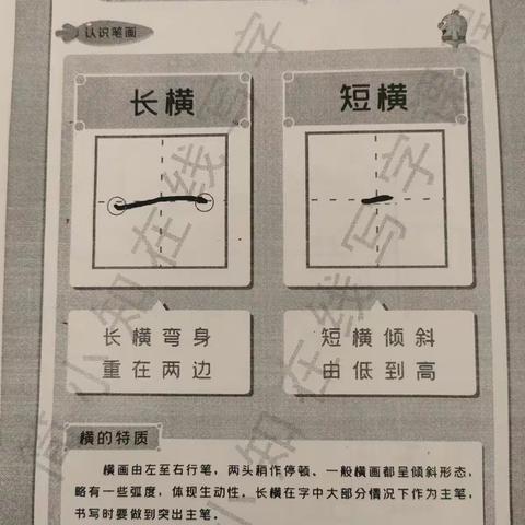 书写好习惯，练就好文笔——田家炳小学硬笔书法班开课啦