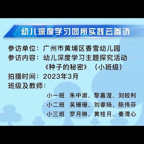 幼儿园深度学习主题探究活动—小班《种子的秘密》