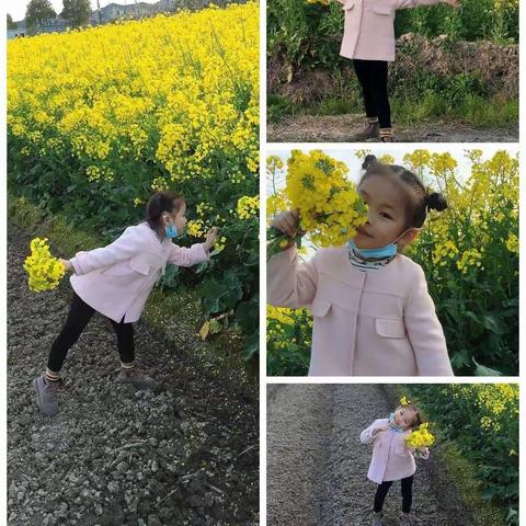 育才幼儿园大一班“宅家也精彩”第十期