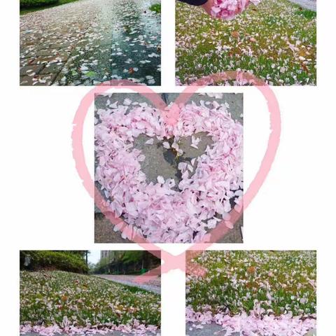 育才幼儿园【停课不停学】大一班第九期