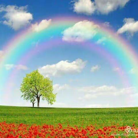 育才幼儿园大一班第六期“我快乐我勇敢”