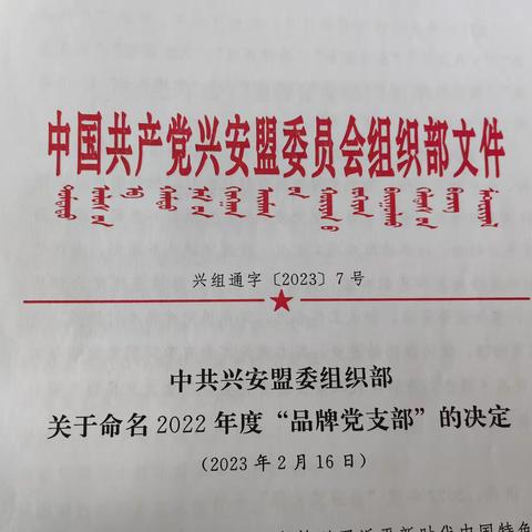 赛银花园区党支部 获评2022年度“模范机关”品牌党支部